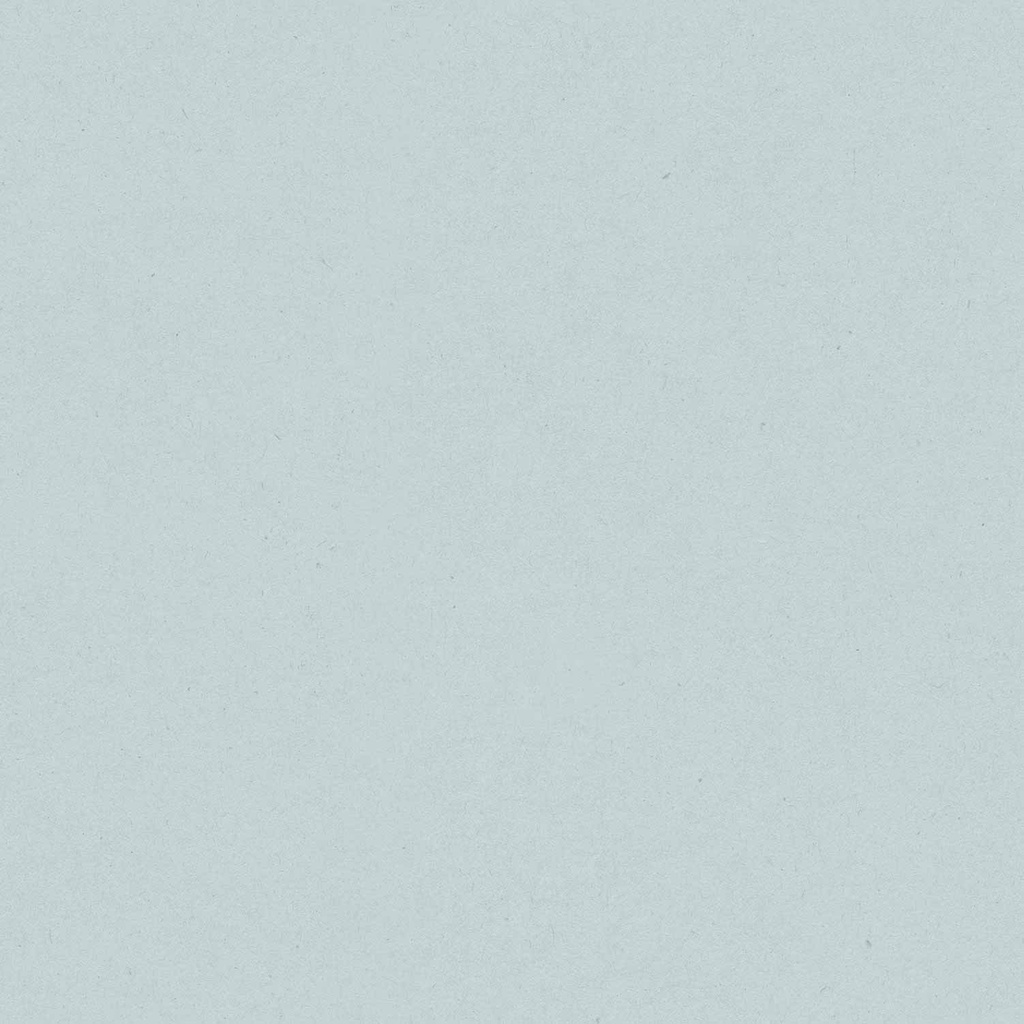 [17193] 17193-Paper