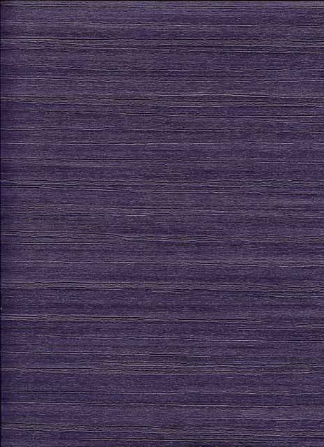 90491186-Sequoia